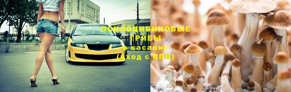 прущий лед Вязьма