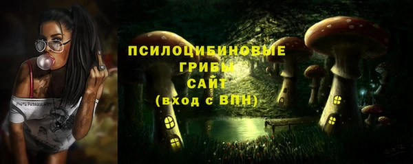 прущий лед Вязьма