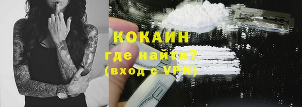 ГАЛЛЮЦИНОГЕННЫЕ ГРИБЫ Вяземский
