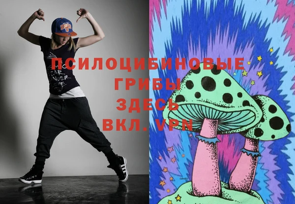 прущий лед Вязьма