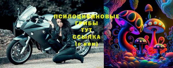 ГАЛЛЮЦИНОГЕННЫЕ ГРИБЫ Вяземский