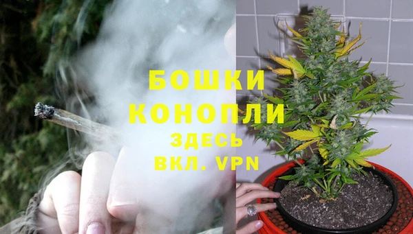 ГАЛЛЮЦИНОГЕННЫЕ ГРИБЫ Вяземский