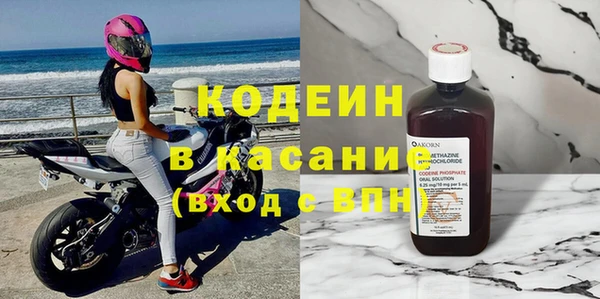 ГАЛЛЮЦИНОГЕННЫЕ ГРИБЫ Вяземский