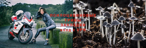 амф Вязники