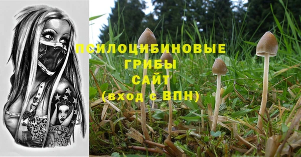 ГАЛЛЮЦИНОГЕННЫЕ ГРИБЫ Вяземский