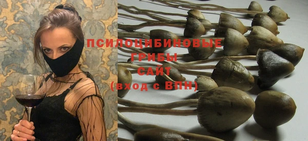 прущий лед Вязьма