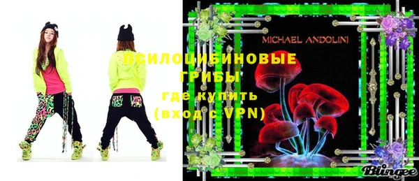 ГАЛЛЮЦИНОГЕННЫЕ ГРИБЫ Вяземский
