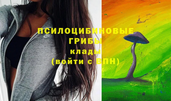прущий лед Вязьма
