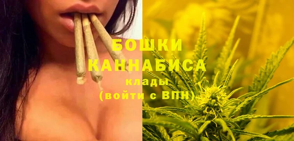 прущий лед Вязьма